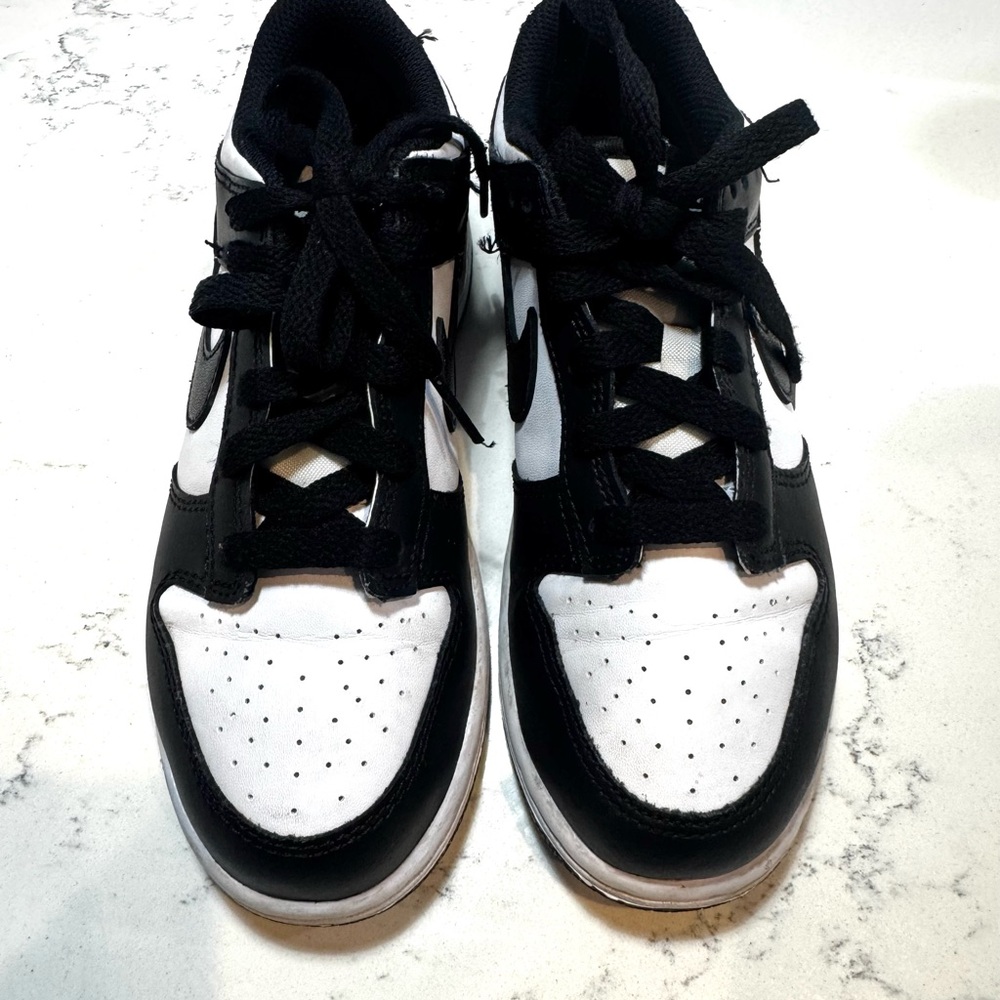 Nike Dunks Sneakers
